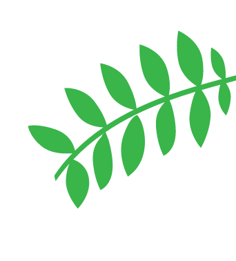 icon picture leaf green