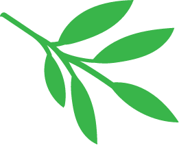 icon picture leaf green