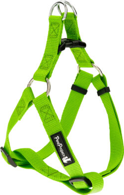 פטספרוג'ט רתמה בד XS בייסיק PetsProject