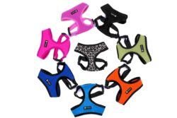 פטספרוג'קט רתמת רשת XS מרופדת PetsProject