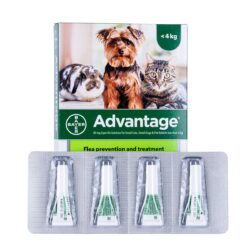 אמפולות אדוונטג'  נגד פרעושים לכלבים Advantage
