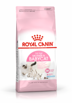 רויאל קנין בייבי וחתולה מניקה 4 ק"ג Royal Canin
