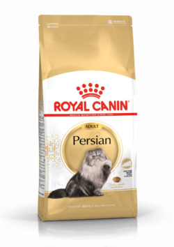 רויאל קנין לחתולים פרסיים 10 ק"ג Royal Canin