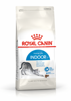 רויאל קנין לחתול הבית 4 ק"ג Royal Canin