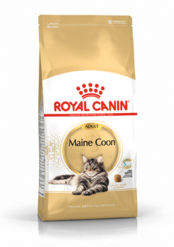 רויאל קנין מיין קון 4 ק"ג Royal Canin