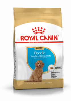 רויאל קנין פודל ג'וניור 3 ק"ג Royal Canin