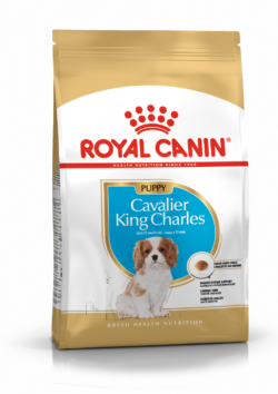 רויאל קנין קוואליר ג'וניור פאפי 1.5 ק"ג Royal Canin