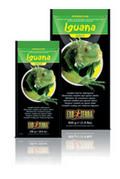 איגואנה בוגר 650 גרם
