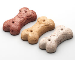 ביסקוויט לכלב רוקי