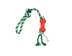 חבל דנטלי + עצם פלסטיק