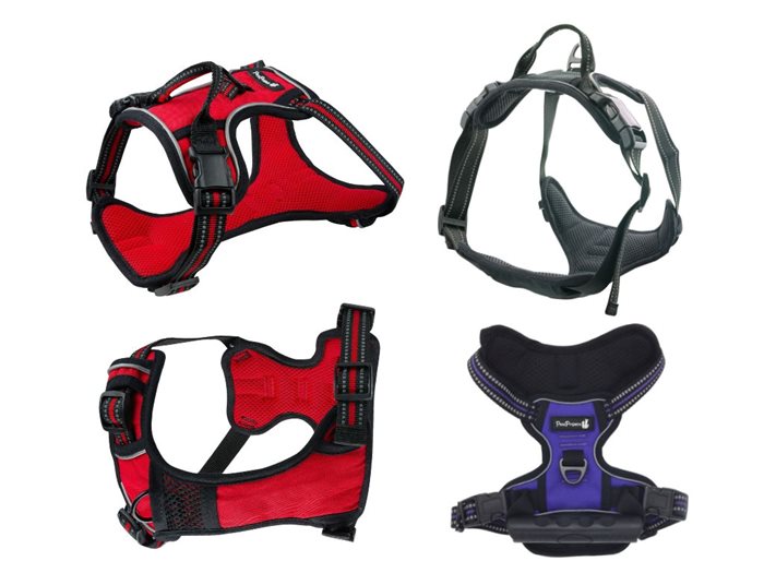 רתמת פרפקט PetsProject PERFECT XXL