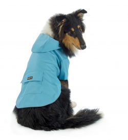 מעיל גשם תכלת  Medium 14 Ribod