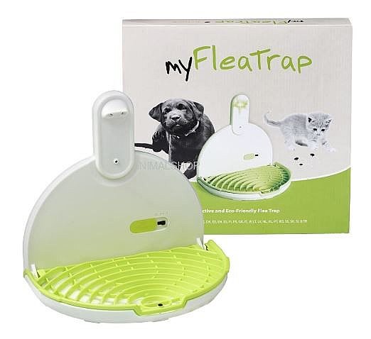 מלכודת פרעושים אקולוגית Flea Trap