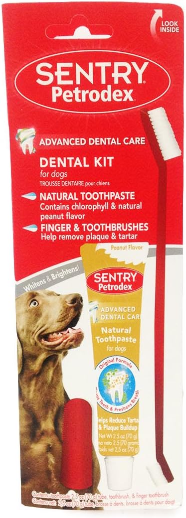 סנטרי ערכה לצחצוח שיניים בטעם חמאת בוטנים Sentry