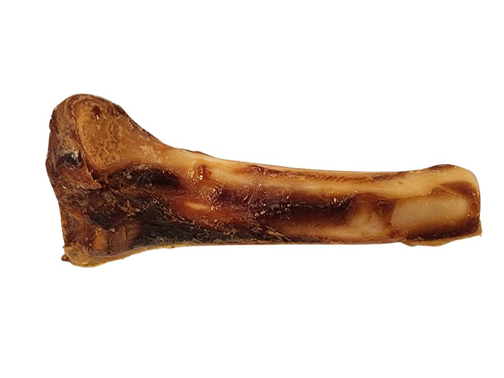 עצם טבעית חצי ירך חזיר